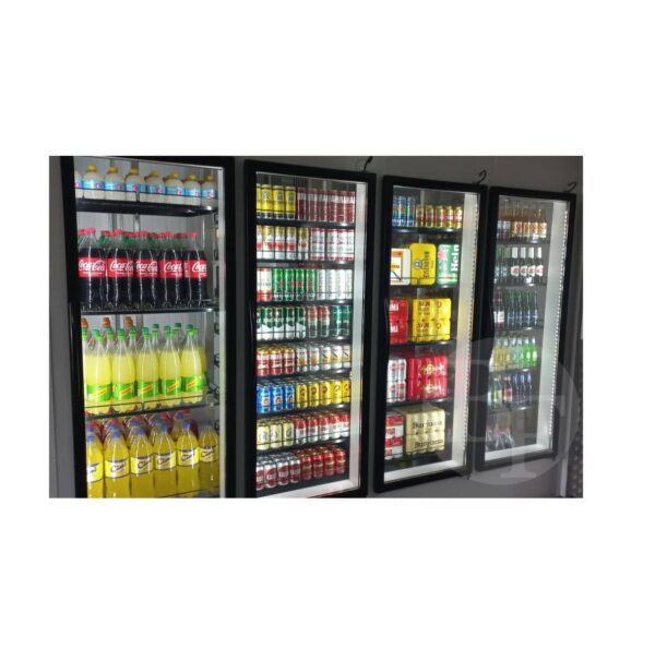 Porta de Vidro Giratória para walkin-cooler e Câmara fria - Image 2